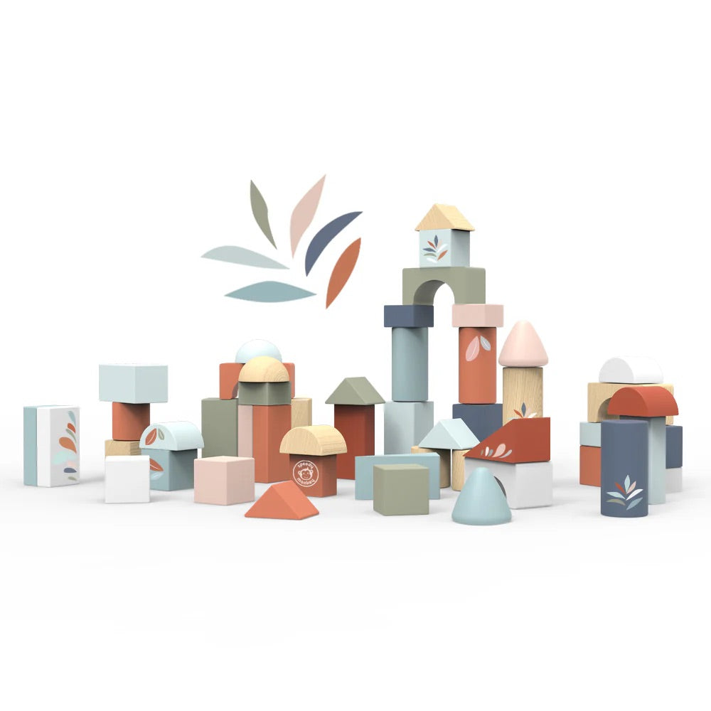 Building Blocks (50 pcs)