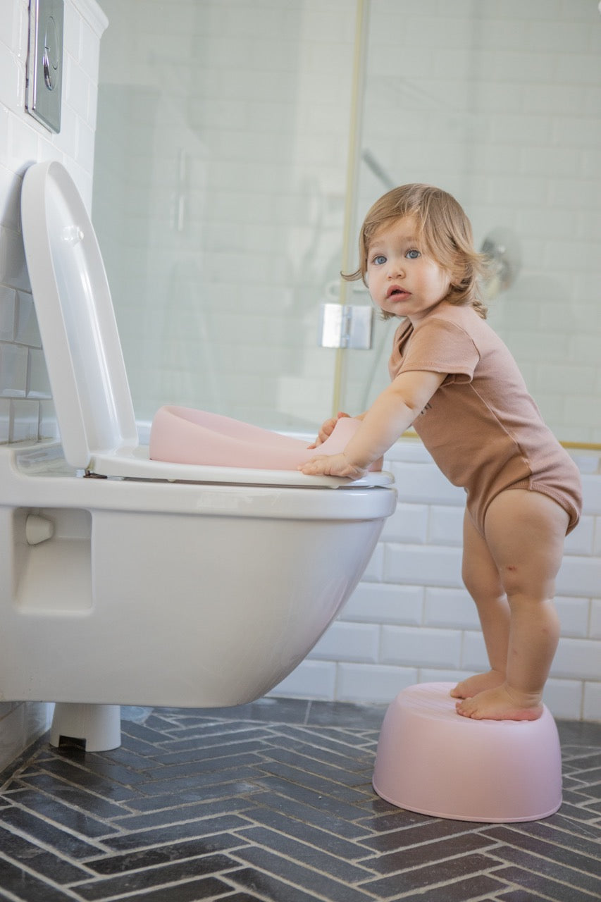 3 in 1 Potty Training Toilet