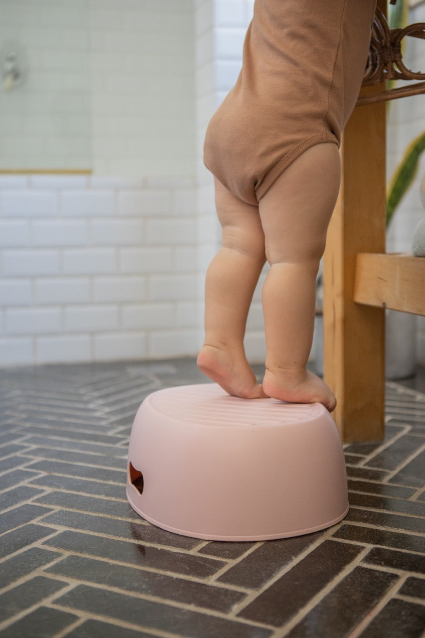 3 in 1 Potty Training Toilet