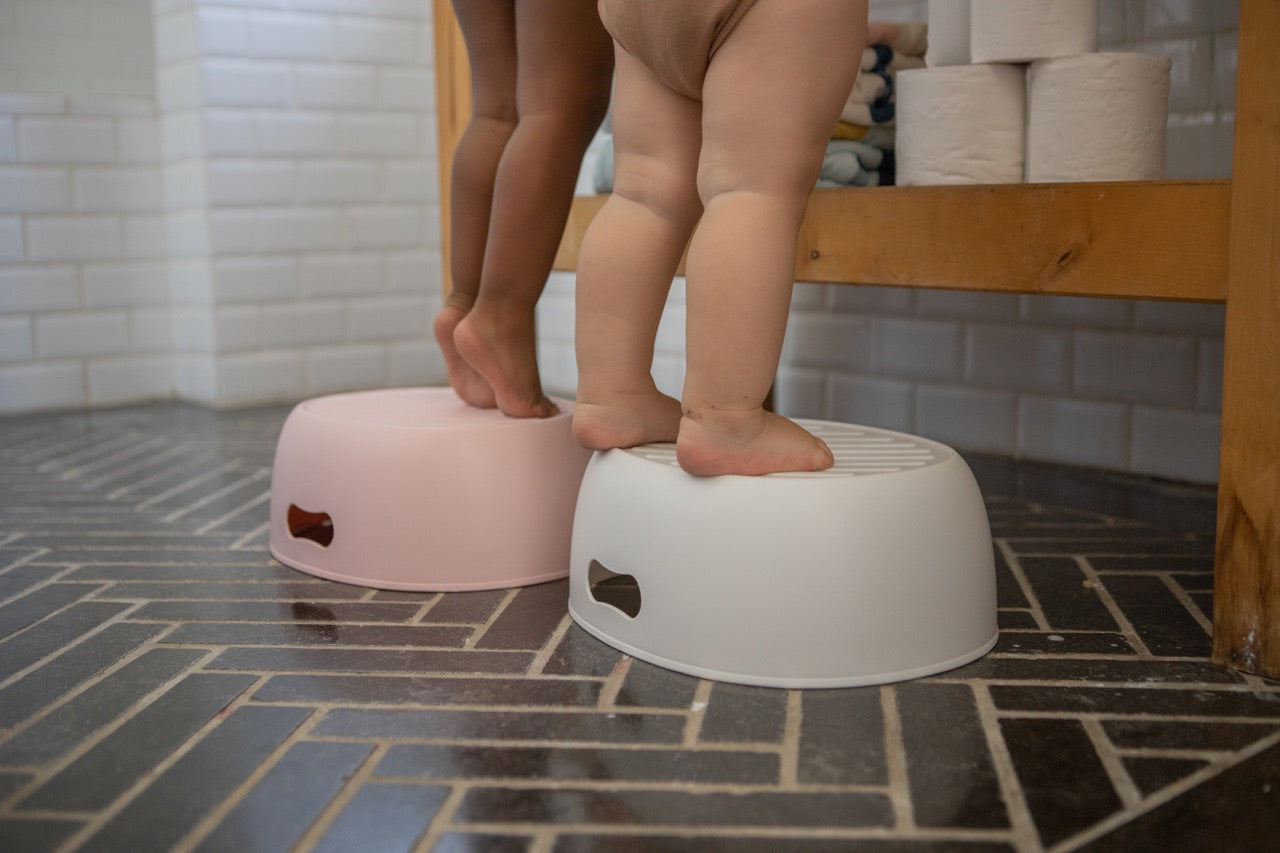 3 in 1 Potty Training Toilet