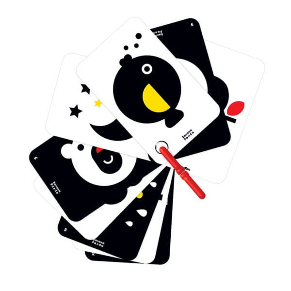 High Contrast Flash Cards On A Ring 0m+