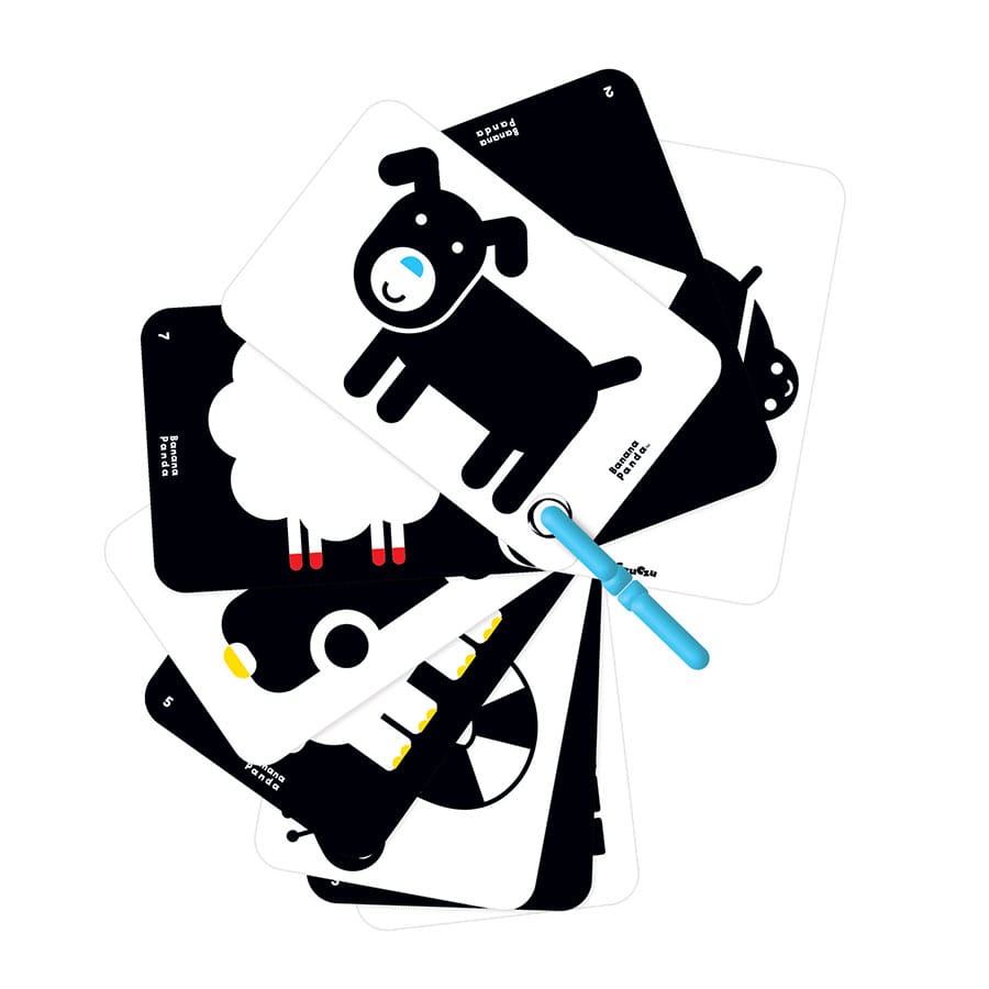 High Contrast Flash Cards On A Ring 3m+