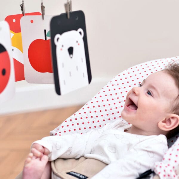 High contrast Baby Pack +0M, +3M, +6M