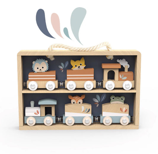 Train Set Display Case