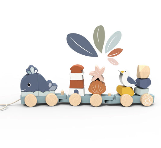 Ocean Stacking Train