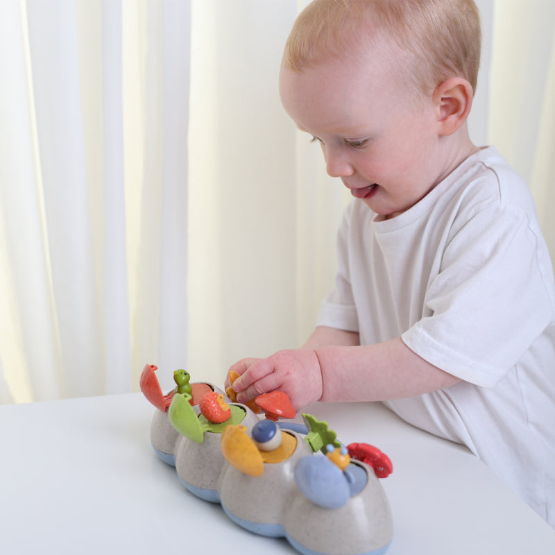 Woodland Pop Up - Tolo