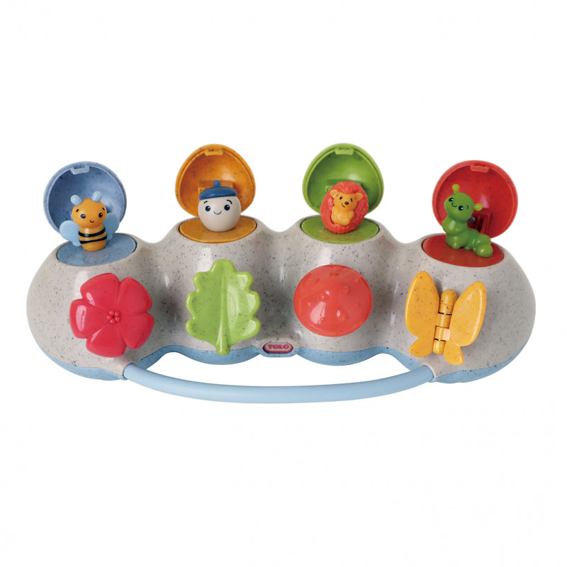 Woodland Pop Up - Tolo