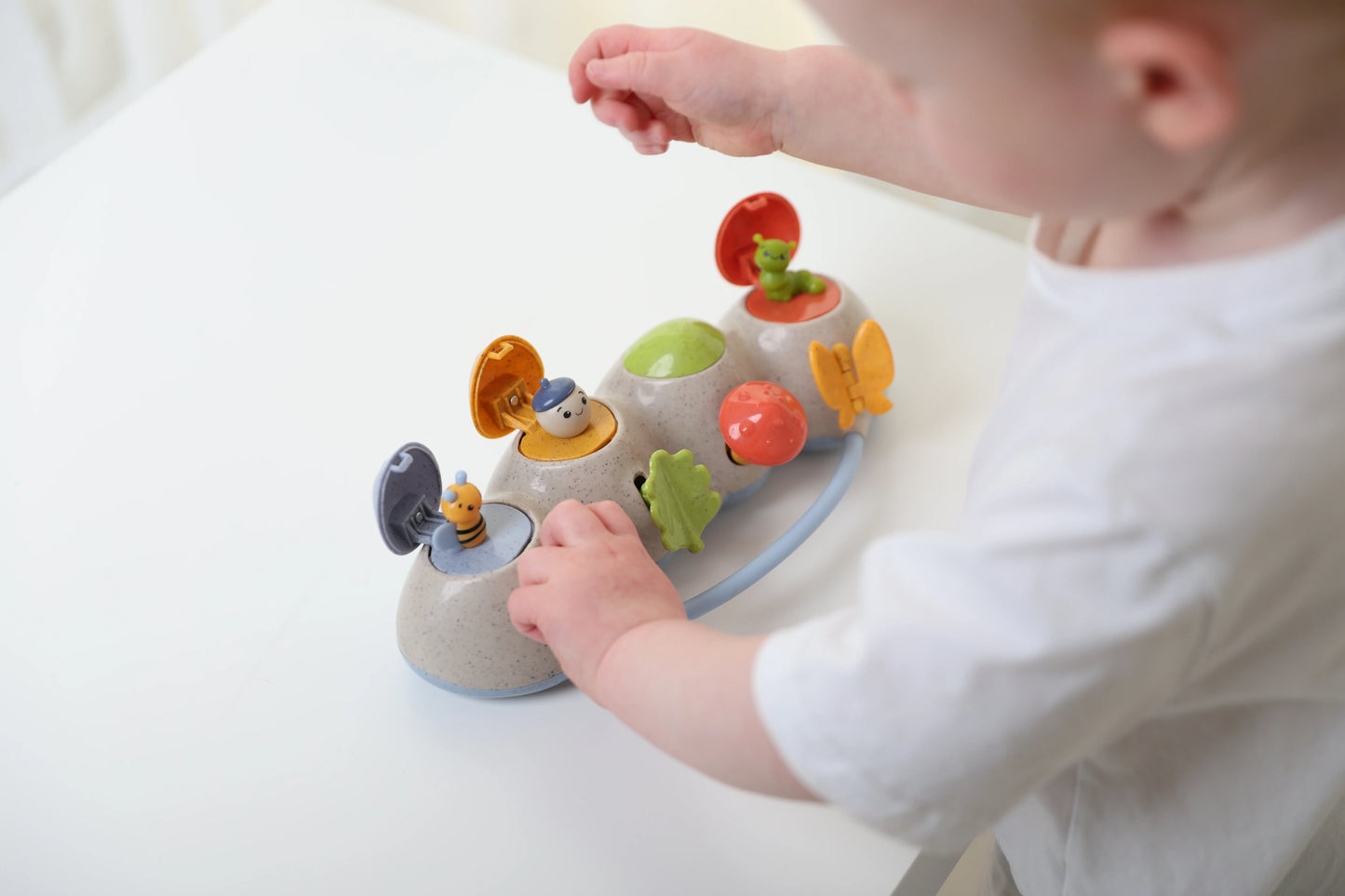 Woodland Pop Up - Tolo